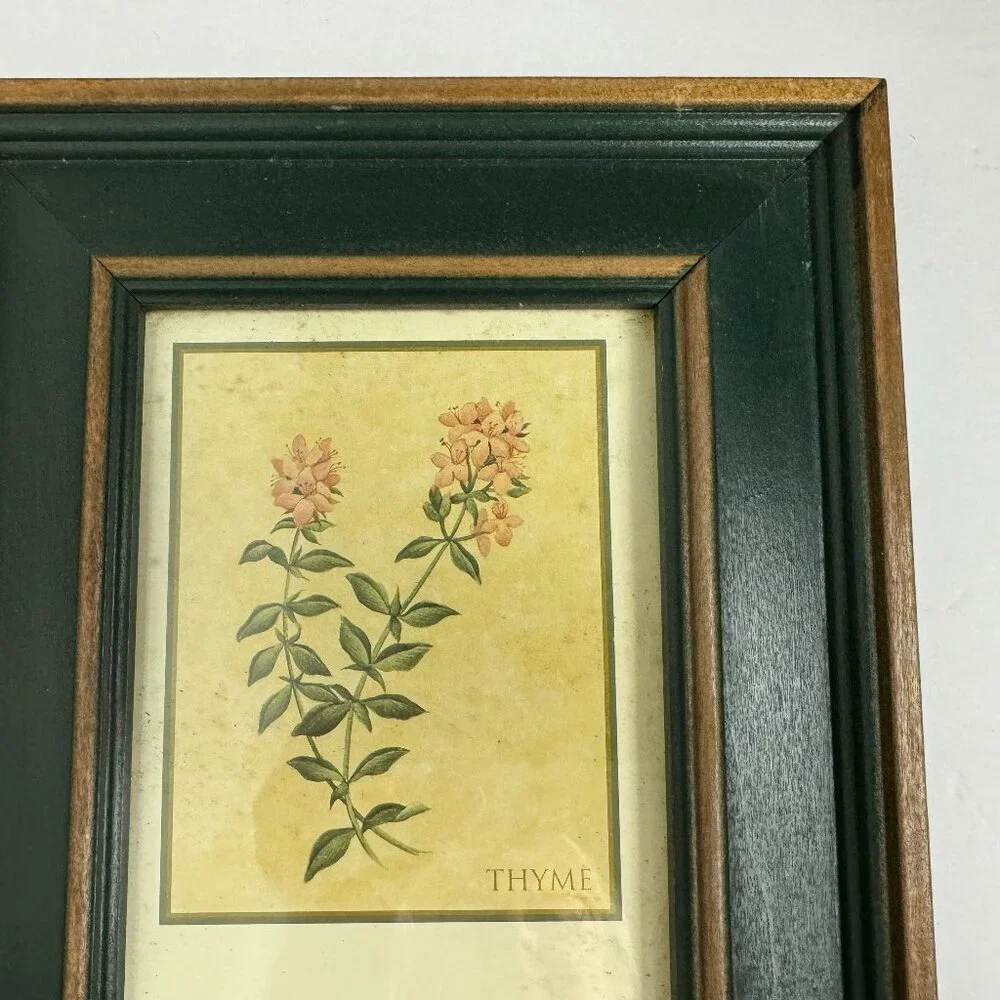 Vintage Country Style Picture Featuring Herbs Wall Decor Set of 2 Botanical ART